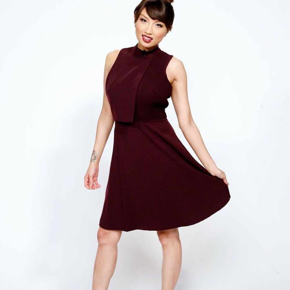ANTONIO MELANI Rich Burgundy Mini Dress